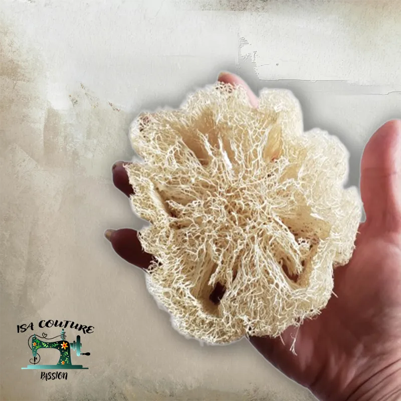 🧽 Porte-Savon en Luffa Naturel - Économisez - Isa couture passion