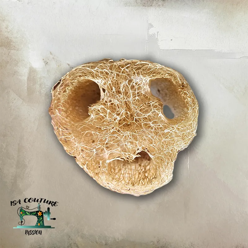 Éponge Luffa Naturelle 100% Végétale - Alternative Zéro Déchet ✅ - Isa couture passion